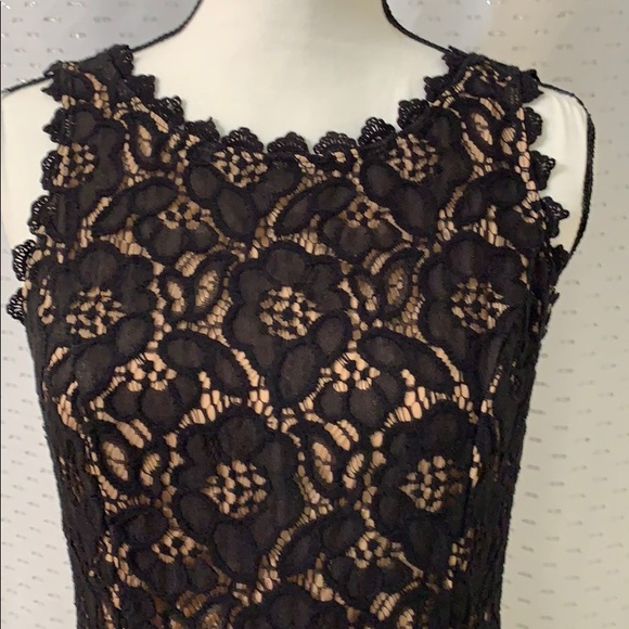 Sequined Lace Fit & Flare Dress from City Studios - Picture 3 of 7